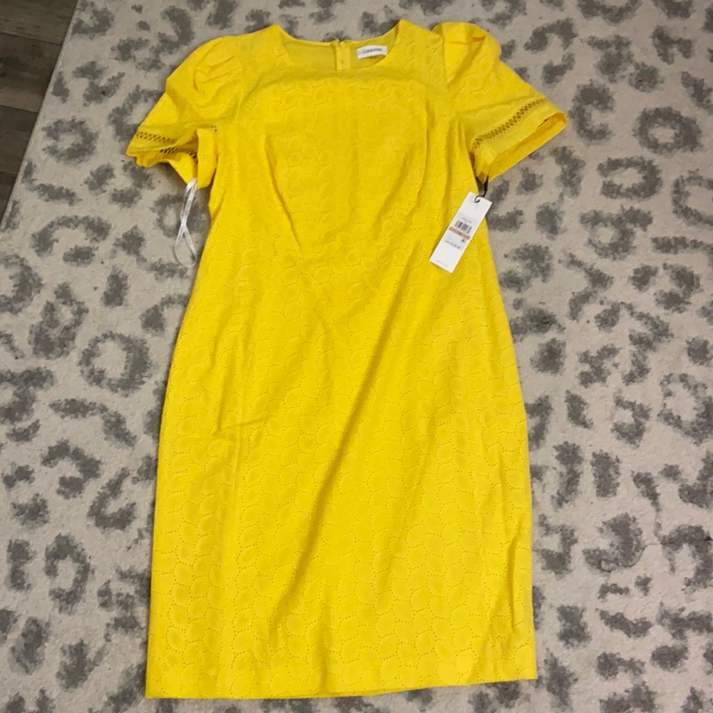 Lovely eyelet dress with puff sleeves